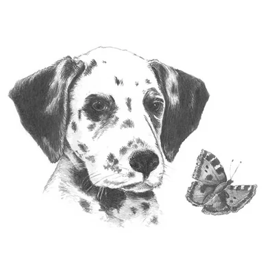 Sketch drawing Mini grafički set za crtanje s alatima, 12x18 cm - Štene Dalmatinca