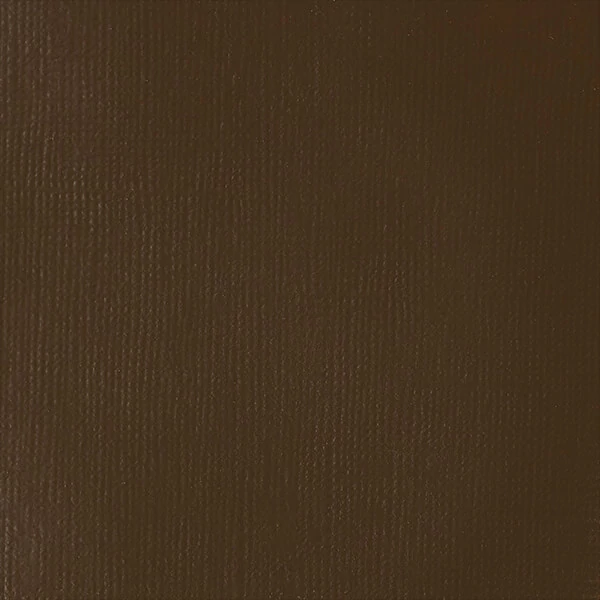 Liquitex Heavy Body akrilna boja, 59 ml - 333, transparent raw umber