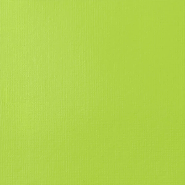 Liquitex Heavy Body akrilna boja, 59 ml - 840, brilliant yellow green