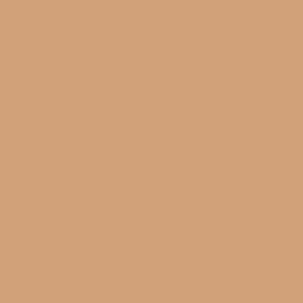 Promarker Brush dvostrani alkoholni kist filc - O427, cinnamon