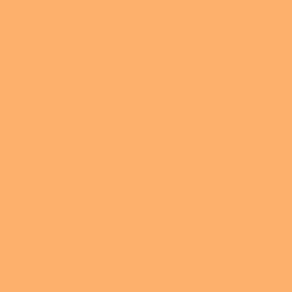 Promarker Brush dvostrani alkoholni kist filc - O538, apricot