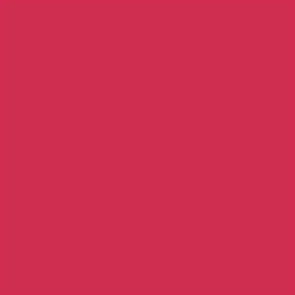 Promarker Brush dvostrani alkoholni kist filc - R455, ruby