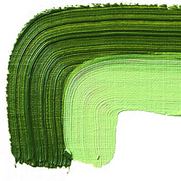 Schmincke Akademie uljana boja, 60 ml - 504, green earth
