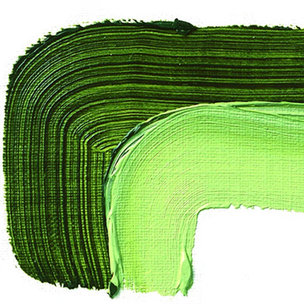 Schmincke Akademie uljana boja, 60 ml - 506, sap green