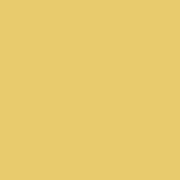 Talens Rembrandt uljana boja, 40 ml - 223, naples yellow deep