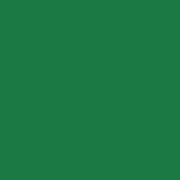 Talens Rembrandt uljana boja, 40 ml - 619, permanent green deep