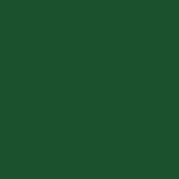 Talens Rembrandt uljana boja, 40 ml - 629, green earth