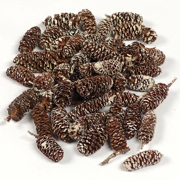 Suho voće - joha, snježna, 30 g