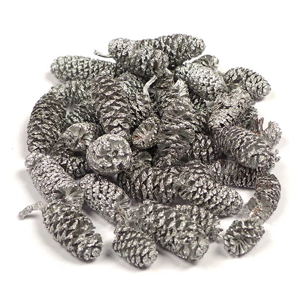 Suho voće - joha, srebrna, 30 g