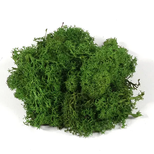 Suho voće - islandski lišaj, tamnozeleni, 25 g