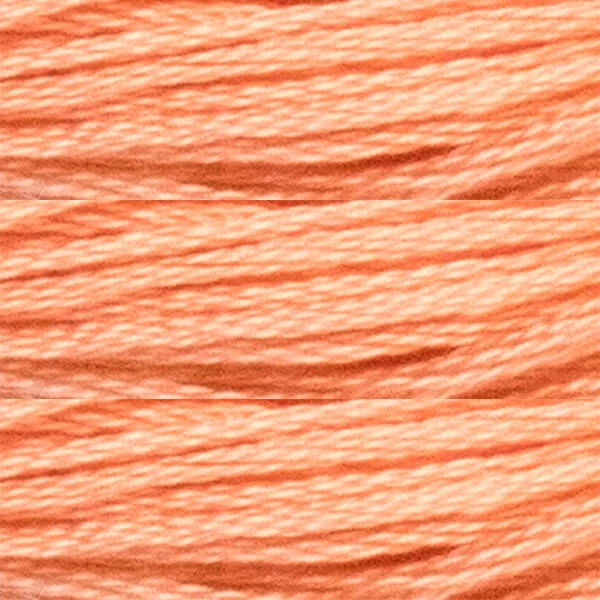 Konac za vezenje, Luca'S Stranded Cotton, 8 m - 385 (Puppets-7328 / DMC-3341 / Anchor-328)