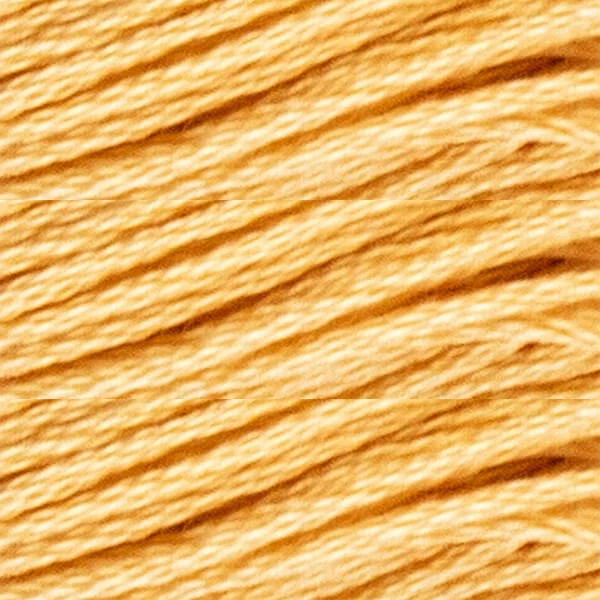 Konac za vezenje, Luca'S Stranded Cotton, 8 m - 389 (Puppets-533 / DMC-3856 / Anchor-366)