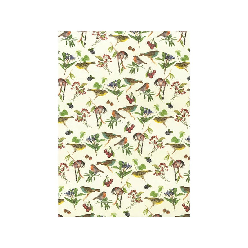 Tassotti decoupage papir - ptice pjevačice