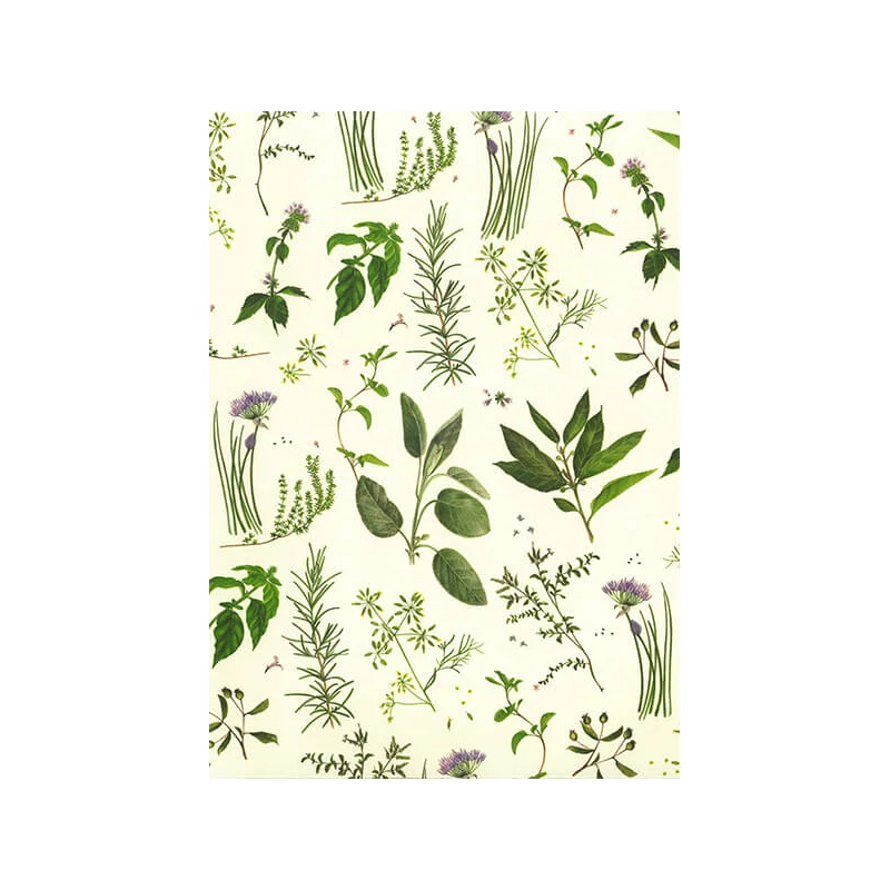 Tassotti decoupage papir - aromatično bilje