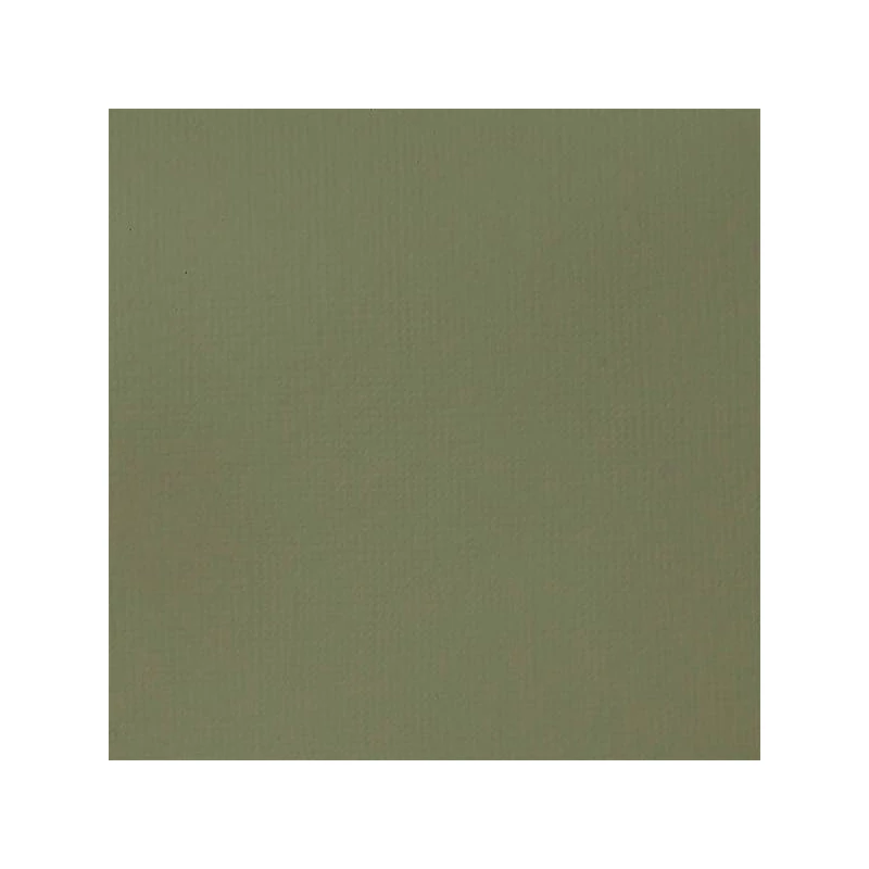 Liquitex Basics akrilna boja, 118 ml - 205, green gray