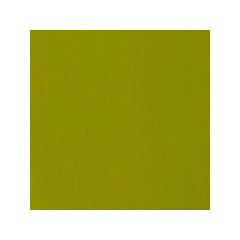 Liquitex Basics akrilna boja, 118 ml - 218, light olive green