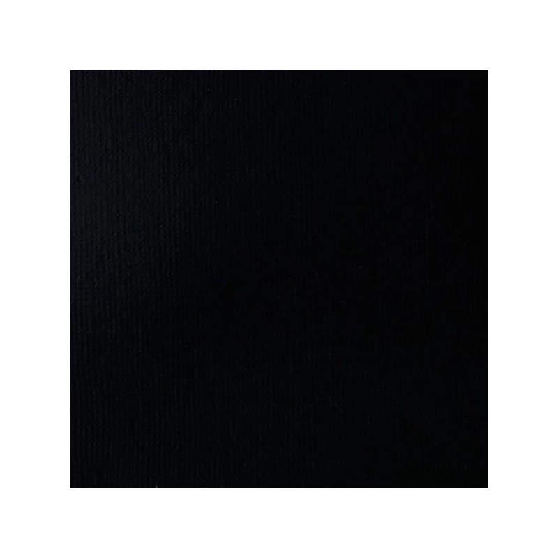 Liquitex Basics akrilna boja, 118 ml - 244, ivory black