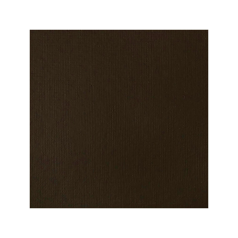 Liquitex Basics akrilna boja, 118 ml - 331, raw umber