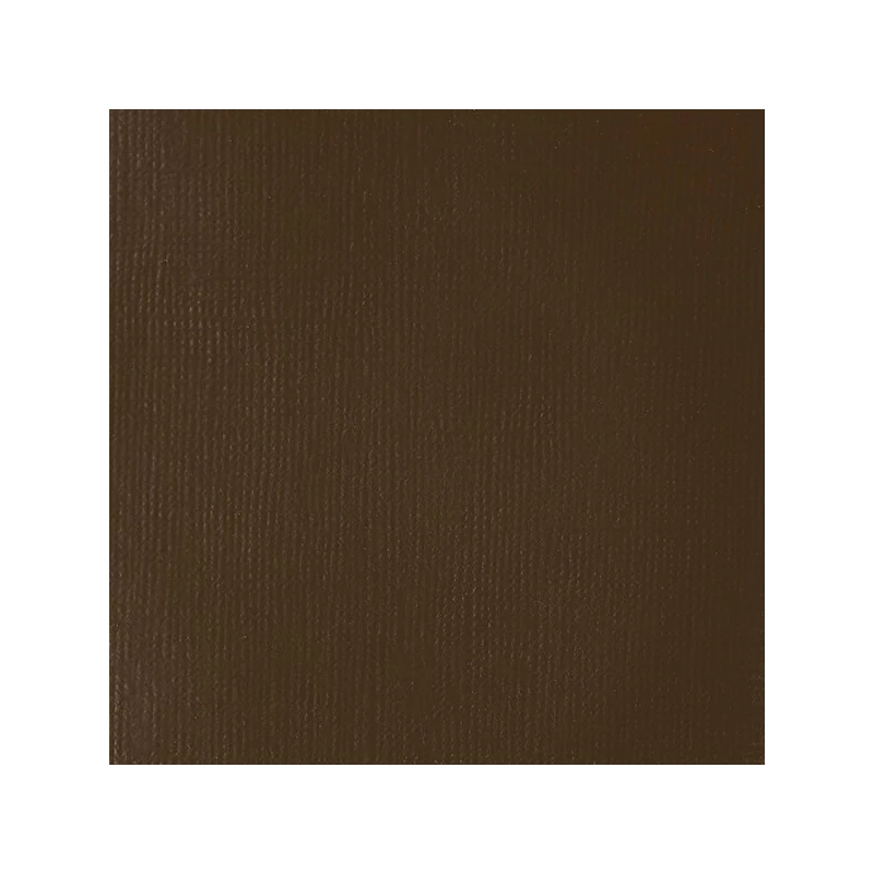Liquitex Heavy Body akrilna boja, 59 ml - 333, transparent raw umber