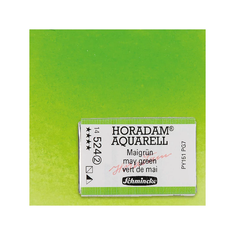 Schmincke Horadam akvarel boja, 1/1 svilenkasta - 24, may green