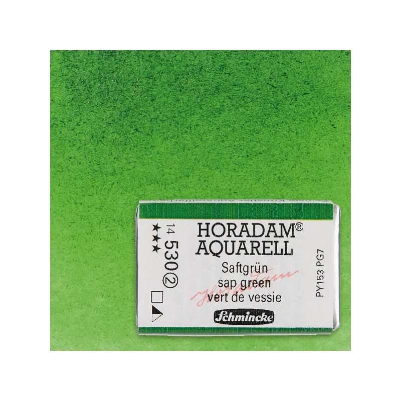 Schmincke Horadam akvarel boja, 1/1 svilenkasta - 30, sap green