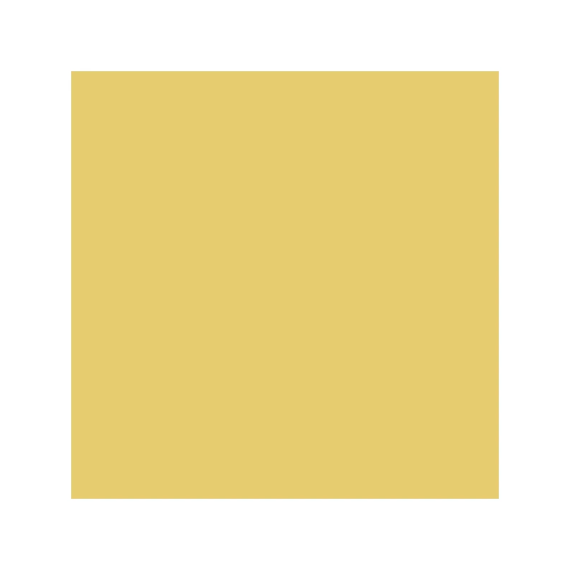 Talens Rembrandt uljana boja, 40 ml - 223, naples yellow deep