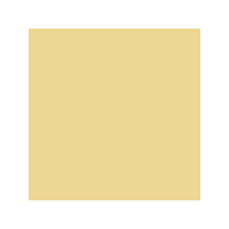 Talens Rembrandt uljana boja, 40 ml - 228, yellow ochre light
