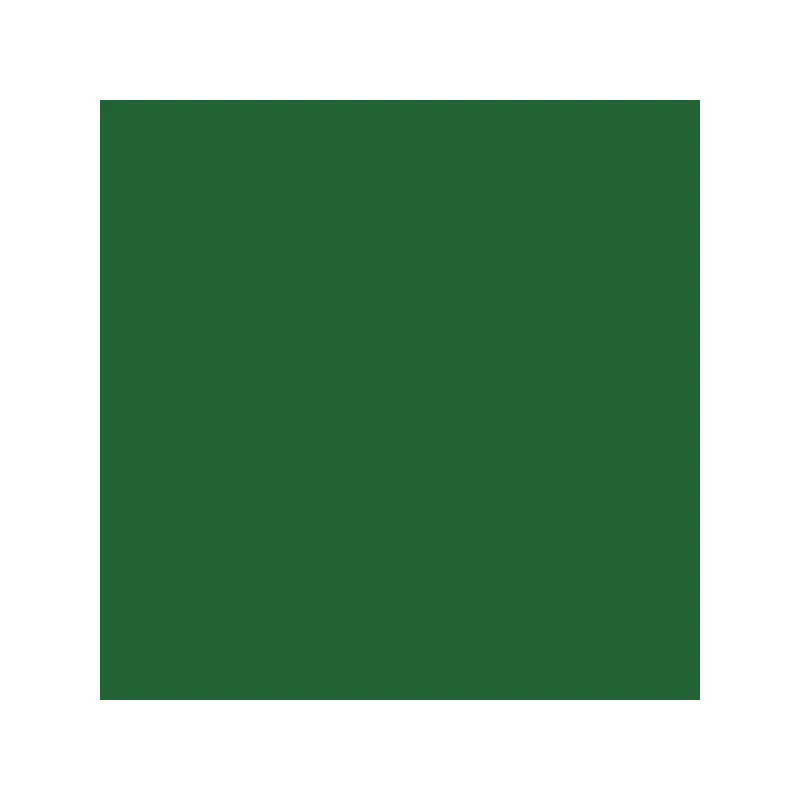 Talens Rembrandt uljana boja, 40 ml - 668, chromium oxide green