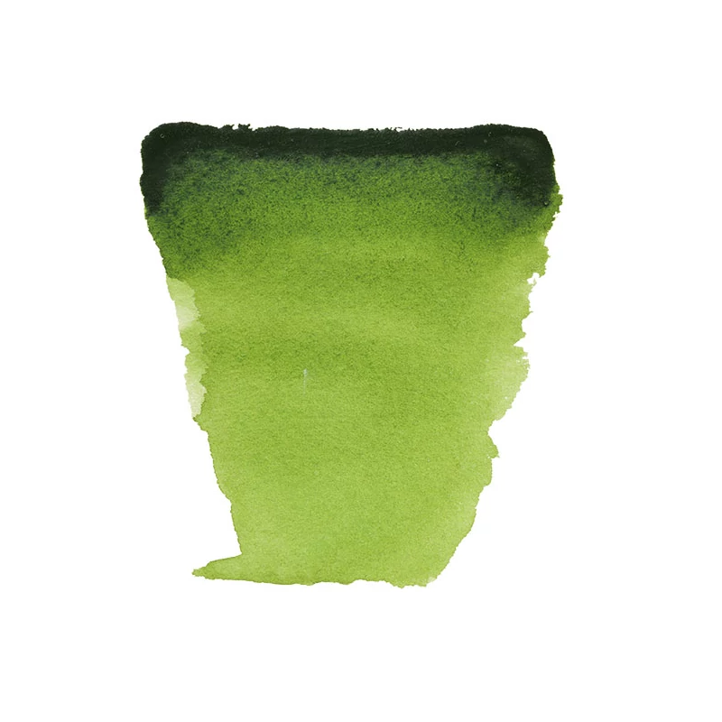 Talens Van Gogh svilenkasta akvarel boja, 1/2 svile- 623, sap green