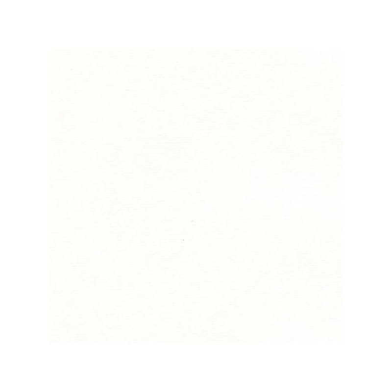 Hahnemühle Ingres papir, 100 g, 48x62,5 cm - 250 svijetlo bijeli