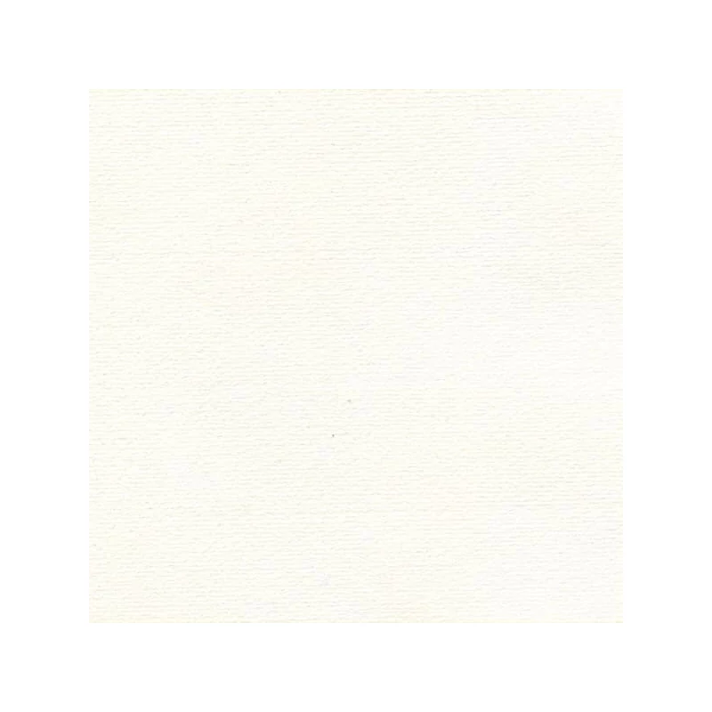 Hahnemühle Ingres papir, 100 g, 48x62,5 cm - 251 bijeli