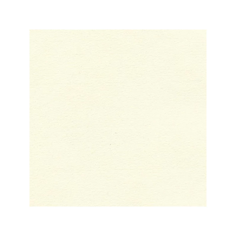 Hahnemühle Ingres papir, 100 g, 48x62,5 cm - 252 slonovača