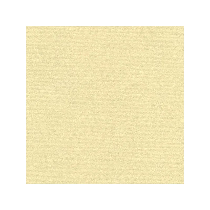Hahnemühle Ingres papir, 100 g, 48x62,5 cm - 253 antikni