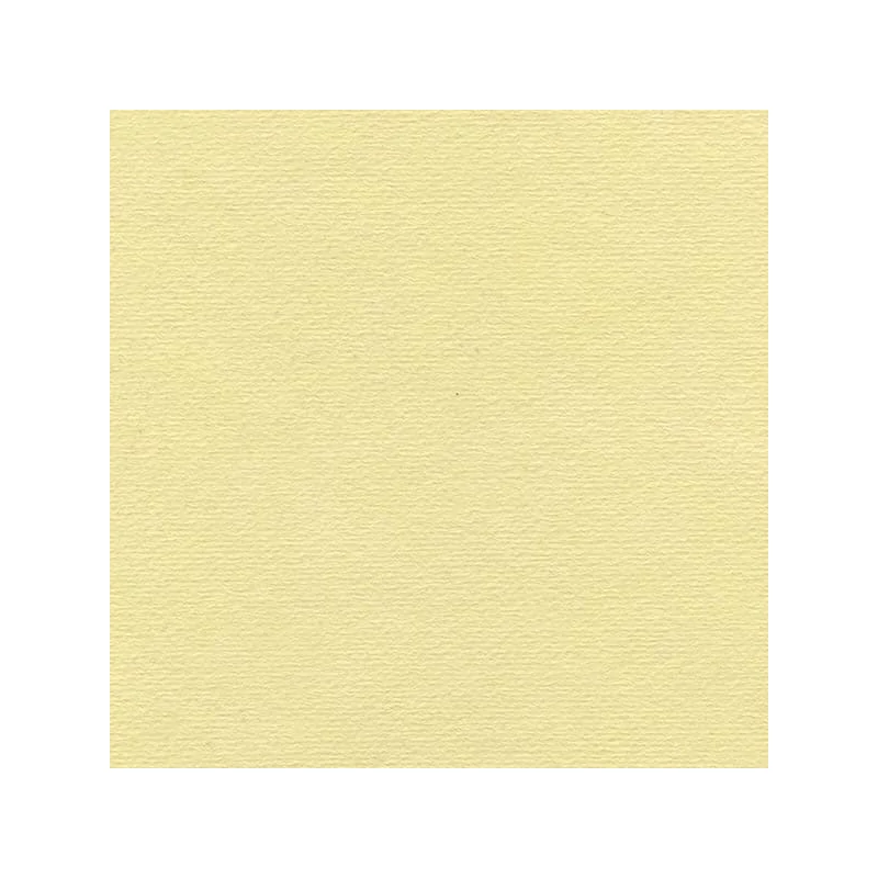 Hahnemühle Ingres papir, 100 g, 48x62,5 cm - 254 žućkasti