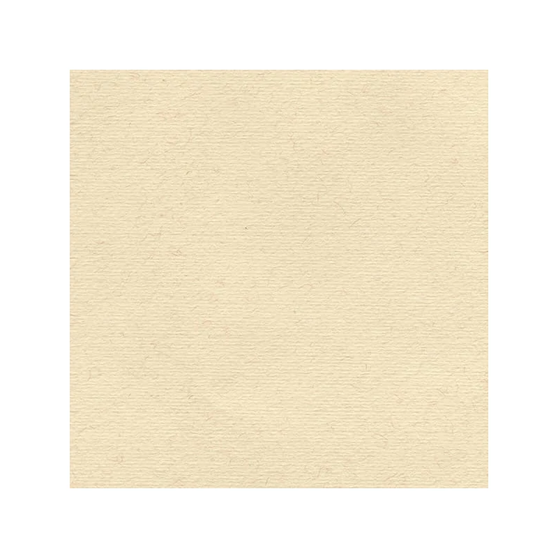 Hahnemühle Ingres papir, 100 g, 48x62,5 cm - 255 ružičasto roza