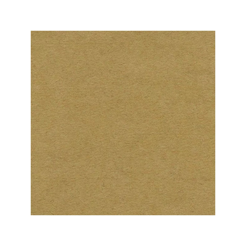 Hahnemühle Ingres papir, 100 g, 48x62,5 cm - 256 smeđa