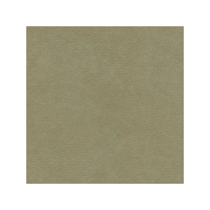 Hahnemühle Ingres papir, 100 g, 48x62,5 cm - 257 mišje sivi