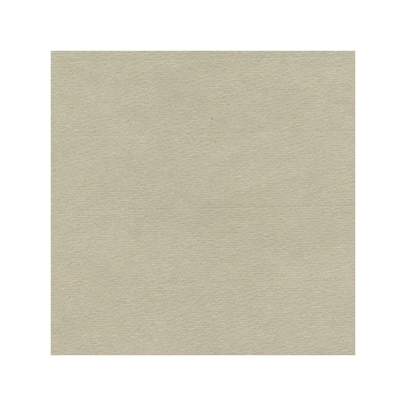 Hahnemühle Ingres papir, 100 g, 48x62,5 cm - 259 srednje siva