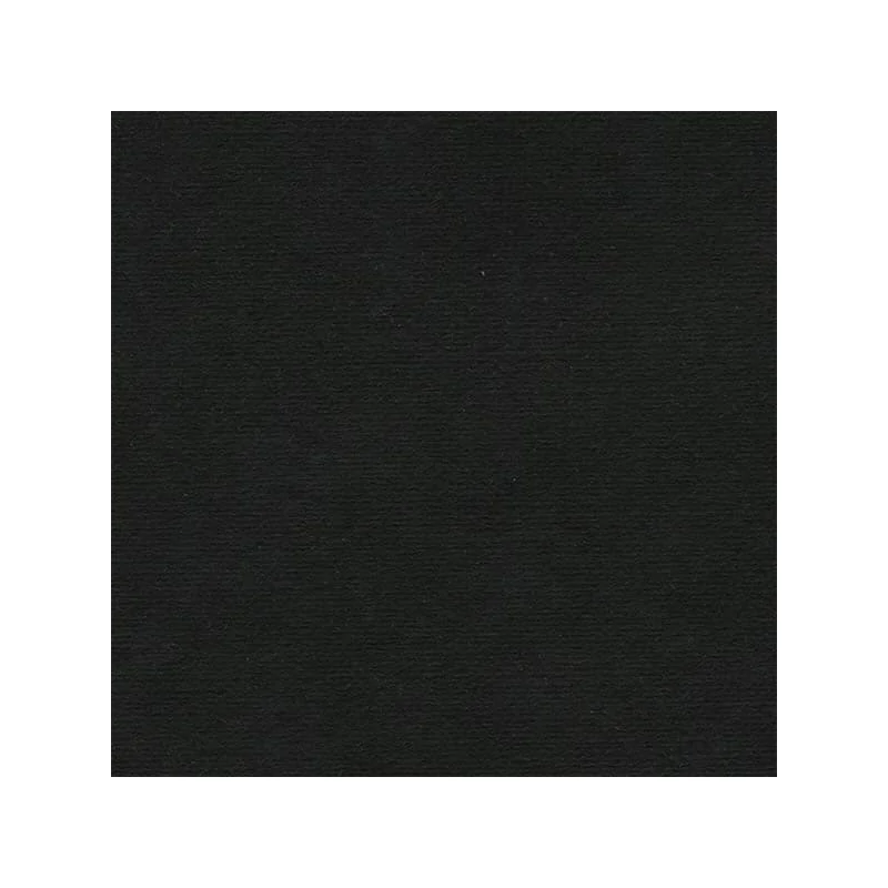 Hahnemühle Ingres papir, 100 g, 48x62,5 cm - 261 crni