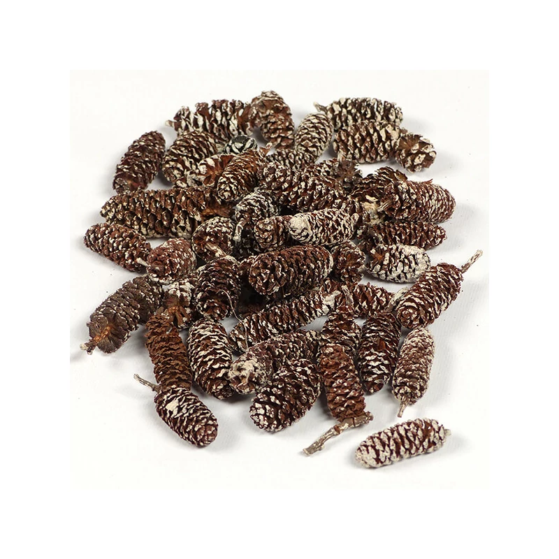 Suho voće - joha, snježna, 30 g