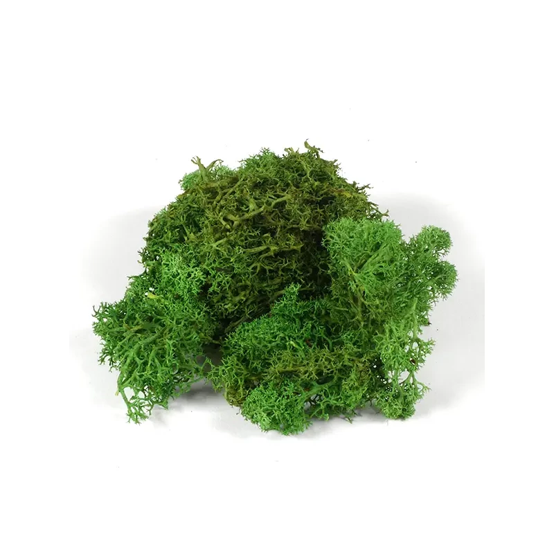 Suho voće - islandski lišaj, zeleni, 25 g