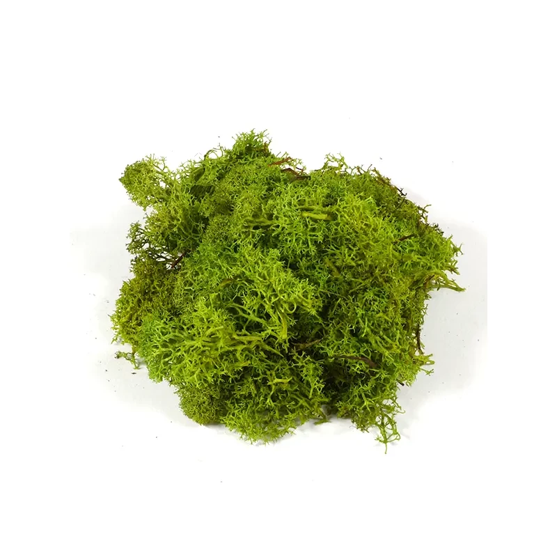 Suho voće - islandski lišaj, svijetlozeleni, 25 g