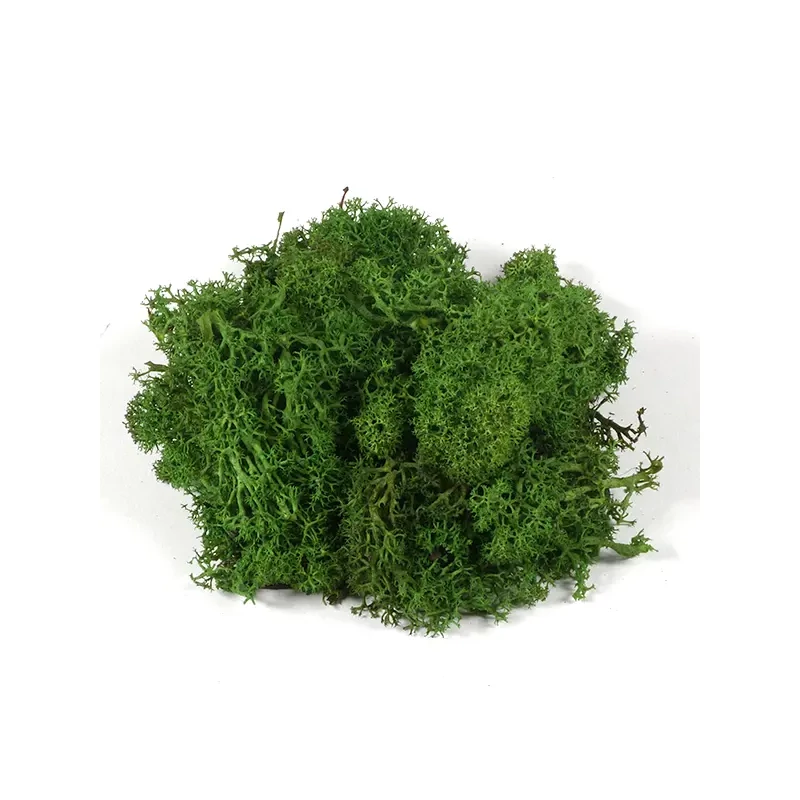 Suho voće - islandski lišaj, tamnozeleni, 25 g