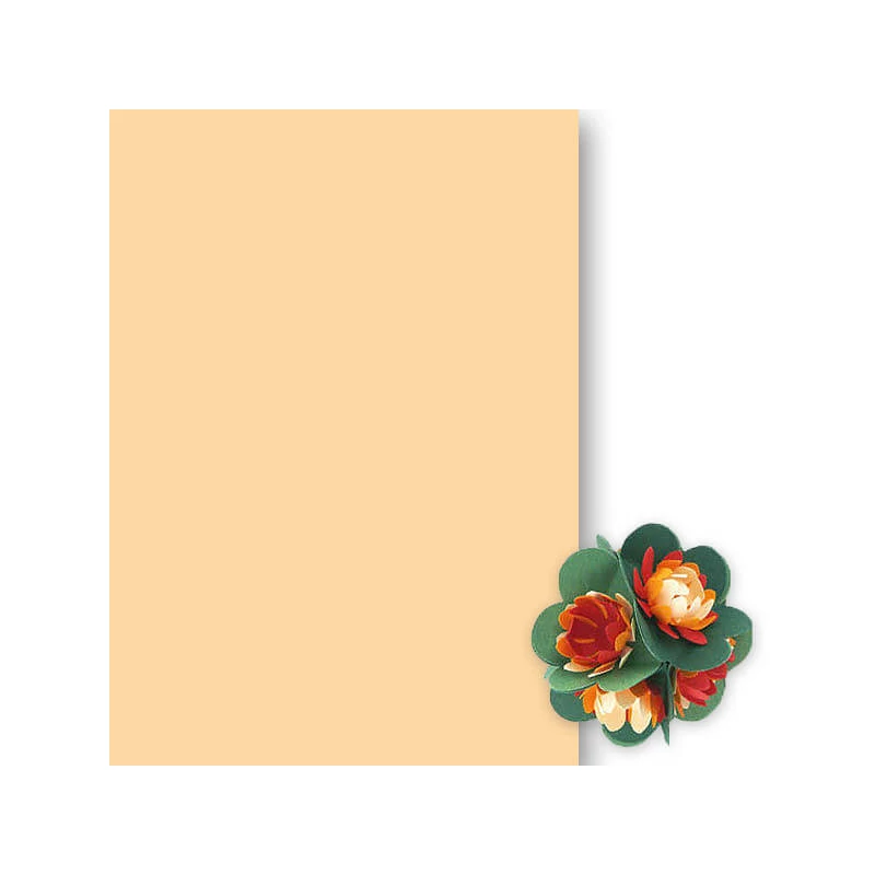 Ton papir, 50x70 cm - 08, boja kože