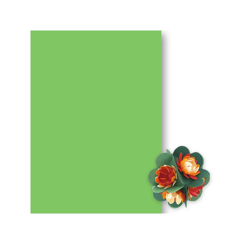 Papir za toniranje, 50x70 cm - 54, vrba zelena
