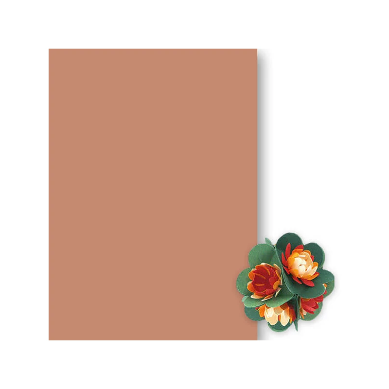 Toner papir, 50x70 cm - 72, kokos