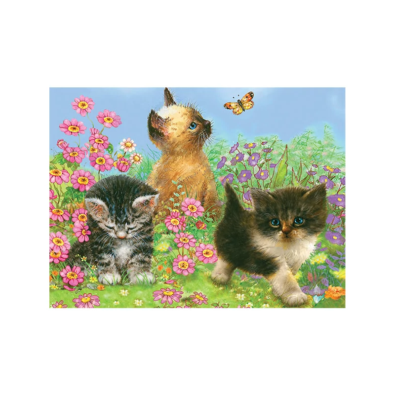 Set za bojanje s brojevima, olovke u boji + šiljilo, 22x30 cm - Mačići