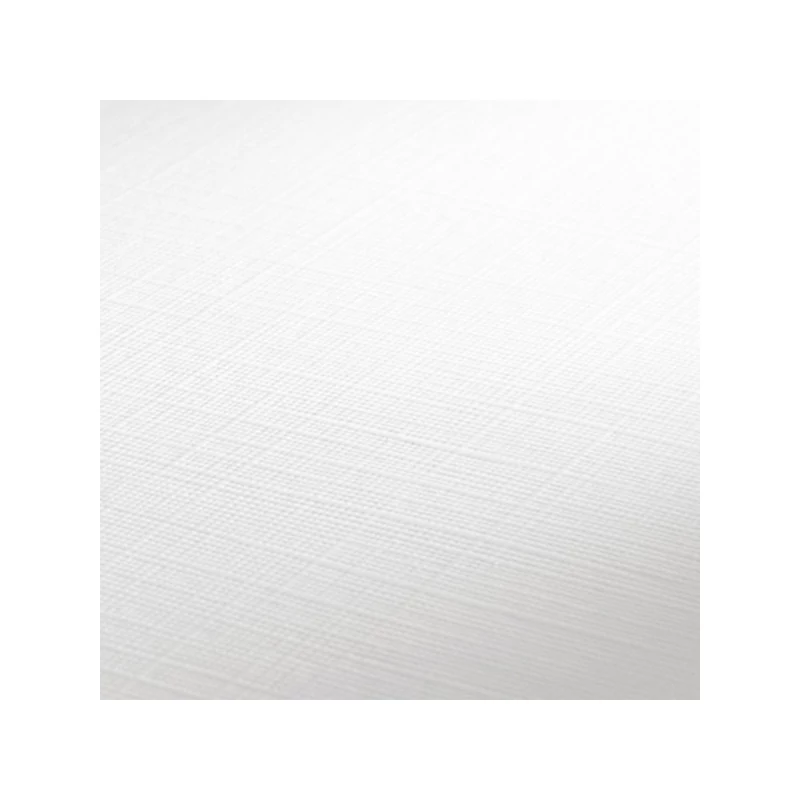 Hahnemühle akrilni karton, 330 g, 50x60 cm