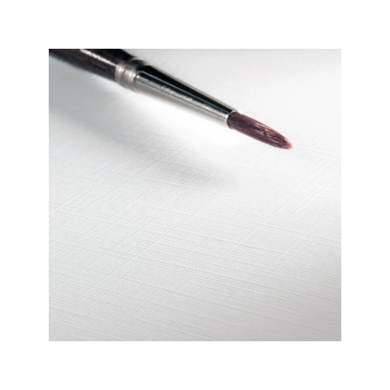 Hahnemühle akrilni karton, 330 g, 50x60 cm