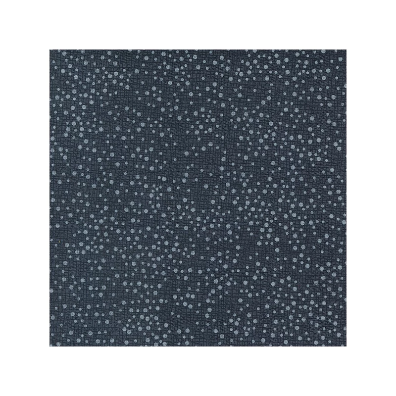 Patchwork tkanina - Moda - Winterly by Robin Pickens 48715-152